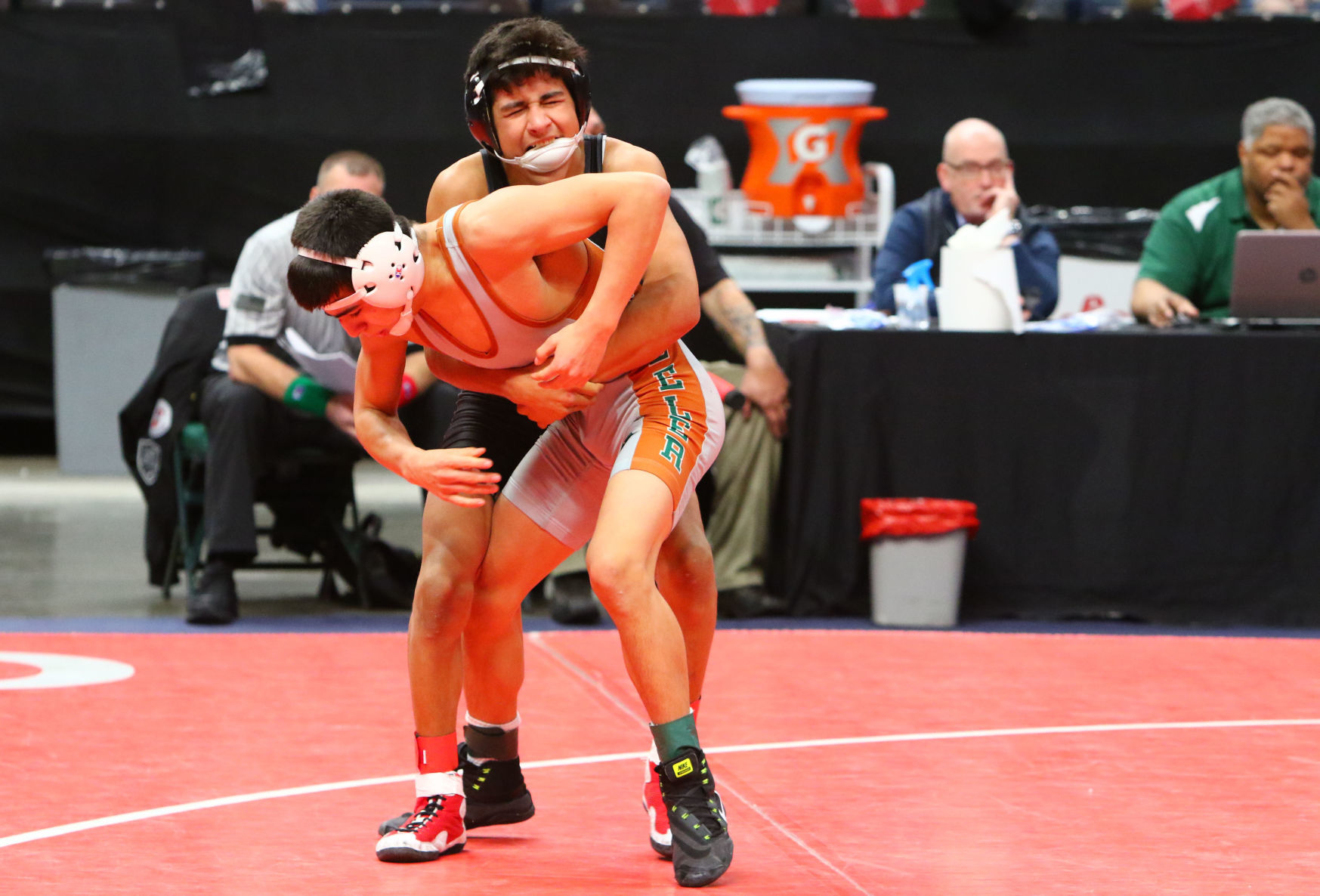 Gallery: Wrestling State Finals